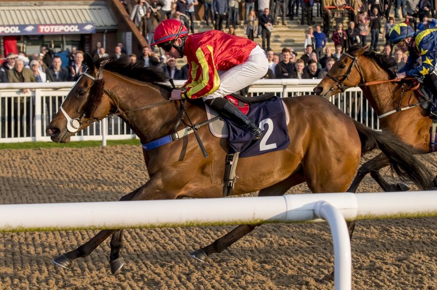 Wolverhampton Win for Sunshineandbubbles